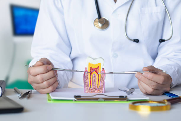 Best Urgent Tooth Repair  in Brentwood, CA